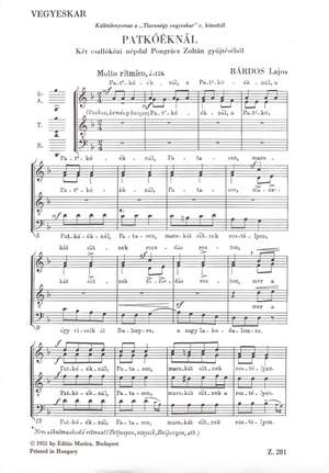 Bardos, Lajos: Patkoeknal