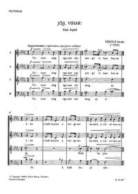 Vantus, Istvan: Jojj vihar