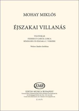 Mohay, Miklos: Ejszakai villanas