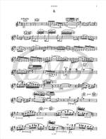 Haydn, Michael: Concerto per il flauto traverso Product Image