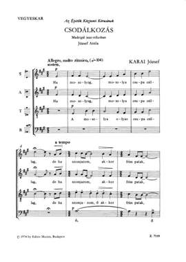 Karai, Jozsef: Csodalkozas