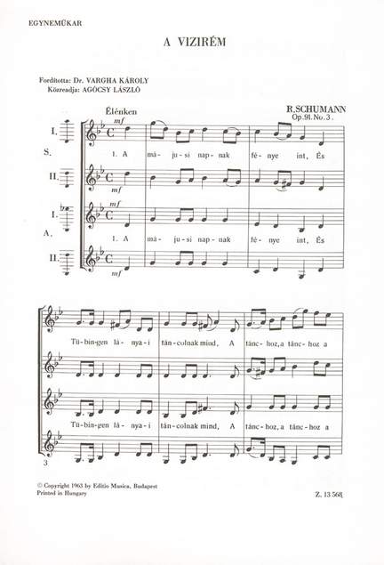 Schumann, Robert: A vizirem