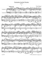 Popper, D: 15 Easy Melodic, Harmonic and Rhythmic Studies Op.76/1; 10 Studies Preparatory to the High School of Violoncello Playing Op.76 Product Image