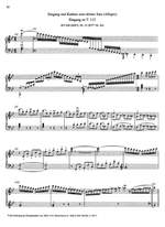 Mozart, WA: Cadenzas and Lead-ins to the Piano Concertos (Urtext) Product Image