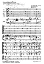 Mendelssohn Bartholdy: Surrexit pastor bonus (Op.39 no. 3; G-Dur) Product Image