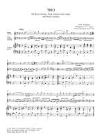 Telemann, Georg Philipp: Trio Sonata D-Dur TWV 42:D15 Product Image