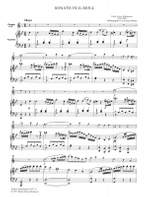 Hoffmeister, Franz Anton: Sonate für Klarinette g-Moll Product Image