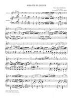 Hoffmeister, Franz Anton: Sonate für Klarinette D-Dur Product Image