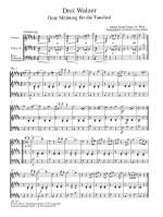 Strauss, Johann (Vater): 3 Walzer für 2 Violinen und Bass Product Image