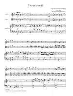 Mendelssohn Bartholdy, Felix: Trio c-Moll Product Image