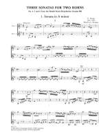 Nicolai, Otto: 3 Sonaten (Nr. 4-6) für 2 Hörner Product Image