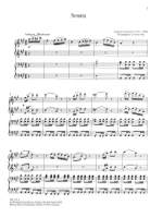 Donizetti, Gaetano: Sonata, Allegro und Largo Product Image