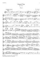 Gabrielski, W.: Grand Trio  op. 78/1 Product Image