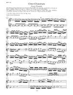 Bach, J.S: The Flute Repertoire Vol.4 Product Image