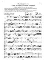 Bach, J.S: The Flute Repertoire Vol.3 Product Image