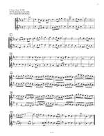 Bach, J.S: The Flute Repertoire Vol.3 Product Image