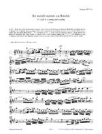 Bach, J.S: The Flute Repertoire Vol.2 Product Image