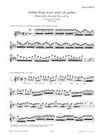Bach, J.S: The Flute Repertoire Vol.1 Product Image