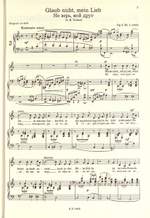 Tchaikovsky: 20 Lieder Product Image