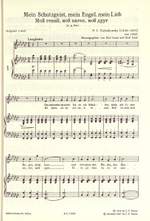 Tchaikovsky: 20 Lieder Product Image