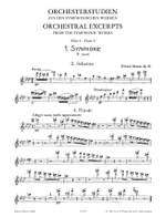 Strauss, R: Orchestral Studies for Flute Product Image