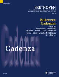 Beethoven, L v: Cadenzas Vol. 4