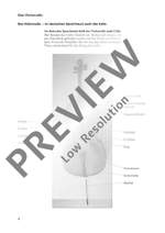 Streicher sind klasse Product Image