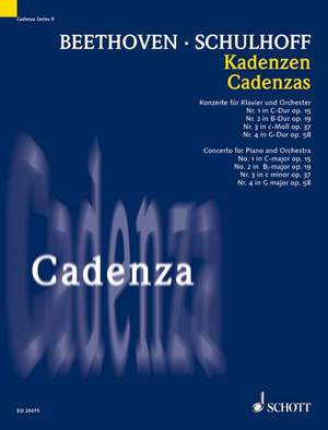 Beethoven, L v: Cadenzas Vol. 9