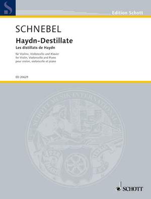 Schnebel, D: Haydn-Destillate