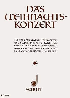 Das Weihnachtskonzert