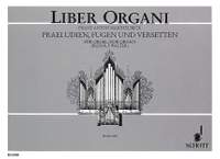 Maichelbeck, F A: Praeludien, Fugen und Versetten op. 2/3 Vol. 13