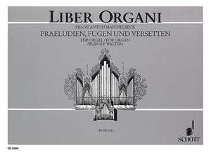 Maichelbeck, F A: Praeludien, Fugen und Versetten op. 2/3 Vol. 13
