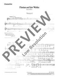 Bruhn, C: Florian auf der Wolke