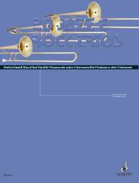 Schenk, M: 20 Jazz- & Rock-Trios