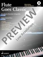 Flute goes Classic Product Image