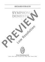 Strauss, R: Symphonia domestica op. 53 TrV 209 Product Image