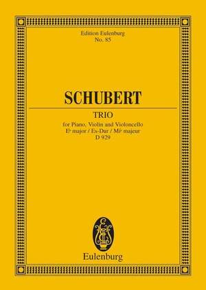 Schubert: Piano Trio Eb major op. 100 D 929