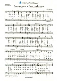 Sibelius, J: Morgennebel