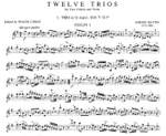 Haydn, J: Twelve Trios 1 Vol. 1 Product Image