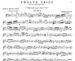 Haydn, J: Twelve Trios 1 Vol. 1 Product Image