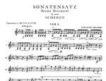 Brahms, J: Sonatensatz & Scherzo op.posth. Product Image