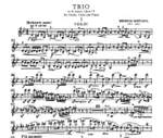 Smetana, F: Trio G minor op. 15 Product Image