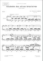 Villa-Lobos: Saudades das Selvas brasilieras Product Image