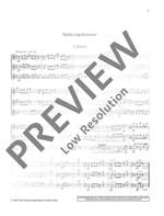 Schneider, W: Suite capricieuse Product Image