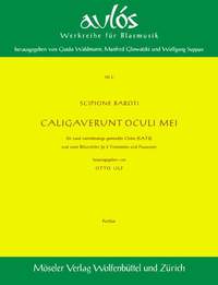 Baroti, S: My eyes are darkened by my tears 131