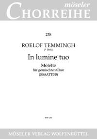 Temmingh, R: In your light 238