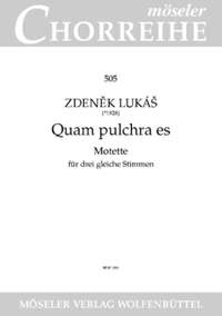 Lukáš, Z: How beautiful you are 505