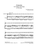 Neruda, J B G: Concerto E flat major E flat major Product Image