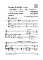 Donizetti: Composizioni da Camera Vol.2 Product Image