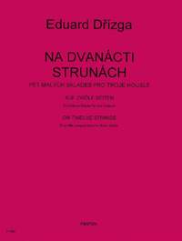 Drízga, E: On 12 Strings